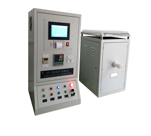 SFL-IIS���ܷ����Բⶨ��